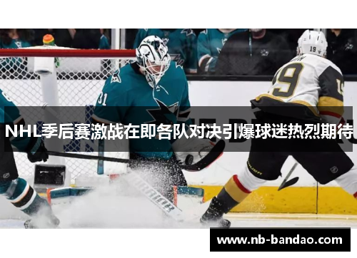 NHL季后赛激战在即各队对决引爆球迷热烈期待