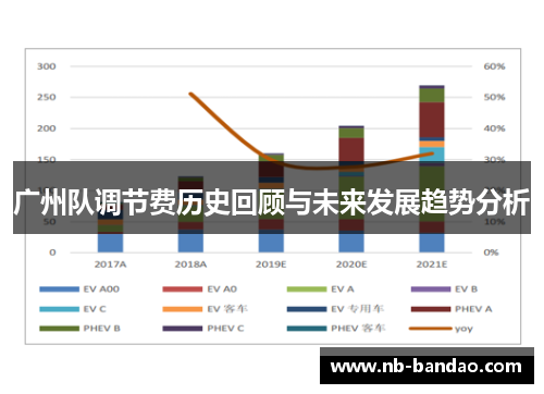 广州队调节费历史回顾与未来发展趋势分析
