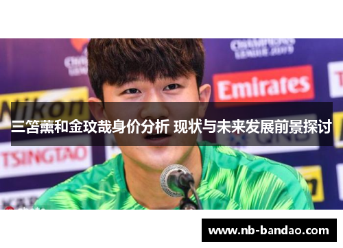 三笘薰和金玟哉身价分析 现状与未来发展前景探讨