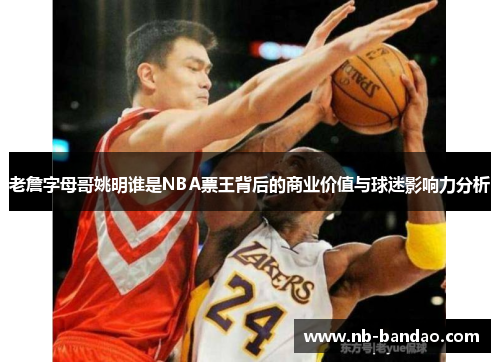老詹字母哥姚明谁是NBA票王背后的商业价值与球迷影响力分析