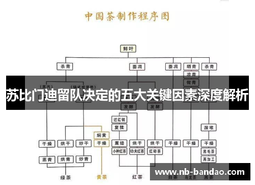苏比门迪留队决定的五大关键因素深度解析