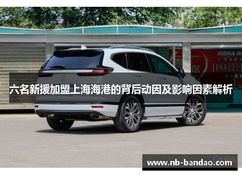 六名新援加盟上海海港的背后动因及影响因素解析
