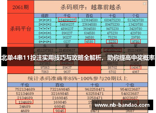 北单4串11投注实用技巧与攻略全解析，助你提高中奖概率
